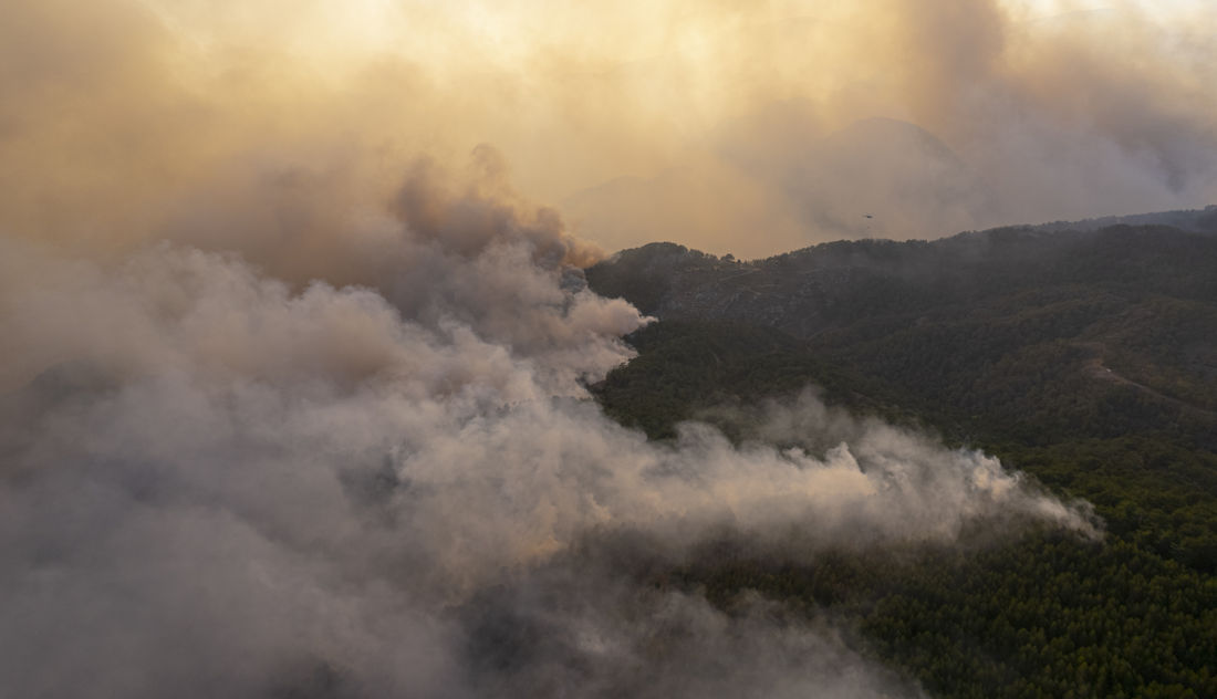 wildfire smoke in the air
